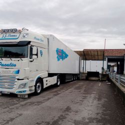 Camión blanco aparcado junto a naves