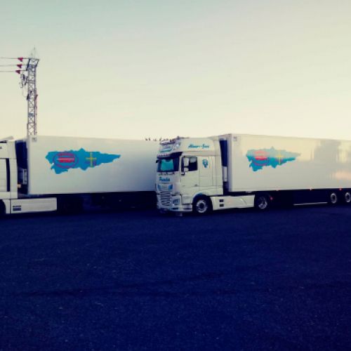 Dos camiones con remolque blanco y logotipo aparcados