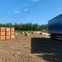 Camión con remolque azul en finca junto a palets de mercancías