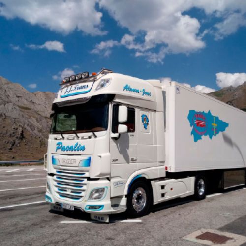 Camión blanco  con logotipo en carretera