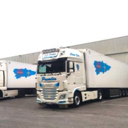 Varios camiones blancos de diferentes tamaños aparcados junto a naves