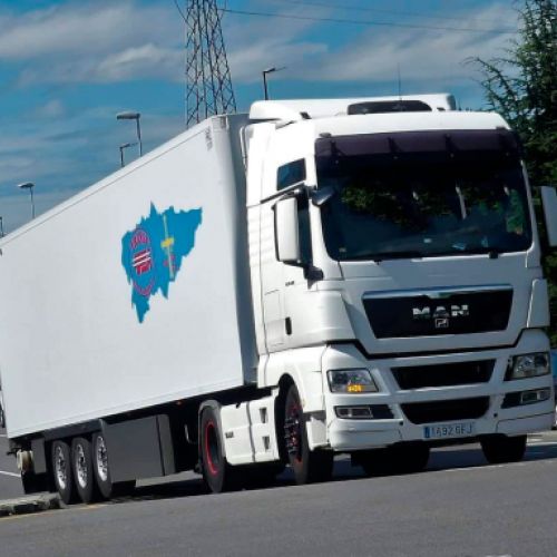 Camión blanco con remolque blanco en carretera